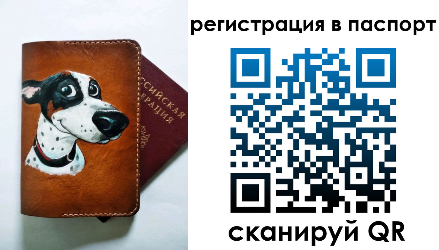 прописка штамп в Калининграде